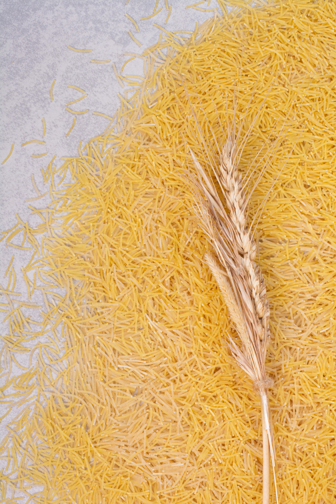 Golden wheat field representing the heart of foodstuff trading
